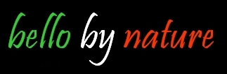 BbN logo